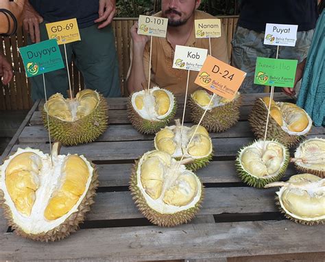durian delicacies|Rosarios Delicacies .